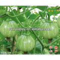 Chinese Pumpkin Vegetable Seeds For Sale